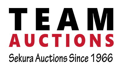 Team Auctions Logo