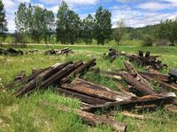    Large Quantity of Various Condition Railroad Ties