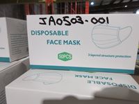    (10) Boxes of Disposable Face Masks