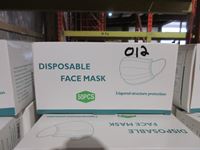    (10) Boxes of Disposable Face Masks