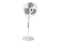   Holmes Whole Room Stand Fan
