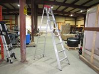    Aluminum 8 Step Ladder