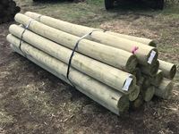    (16) 8-9 In. x 10 Ft Treated Blunt Poles