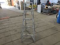    Aluminum Step Ladder