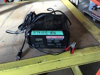    Motormaster Battery Charger