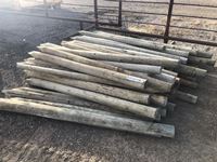    (55±) 5 Inch -6 Inch Treated Fence Posts