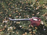  Homelite  Yard Broom Leaf Blower
