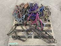    Qty of Misc Horse Tack