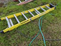 (1) 8 Ft Fibreglass Extension Ladder