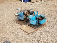 (2) Briggs & Stratton 2-1/2 Inch Water Pumps