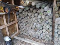 (130±) 4-6 Inch X 7 Ft Treated Posts