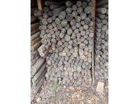 (185±) 3-4 Inch X 6 Ft Treated Posts