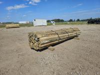 6 Inch - 7 Inch X 16 Ft Treated Blunt Poles