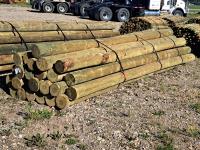 7 Inch - 8 Inch X 16 Ft Treated Blunt Poles