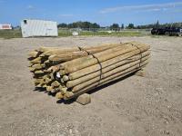 4 Inch - 5 Inch X 12 Ft Treated Pointed Posts