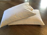 (2) Queen Size Pillows 