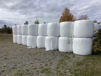 (32) Oats Silage Wrapped Bales