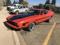 1973 Ford Mustang Mach 1 Coupe Car