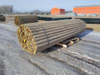 (100) 3-4 Inch X 12 Ft Treated Fence Rails