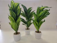 (3) Artificial House Plants
