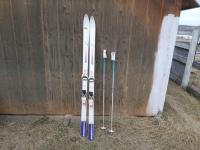 Pair of Rossignol 66 Inch Skis with Poles