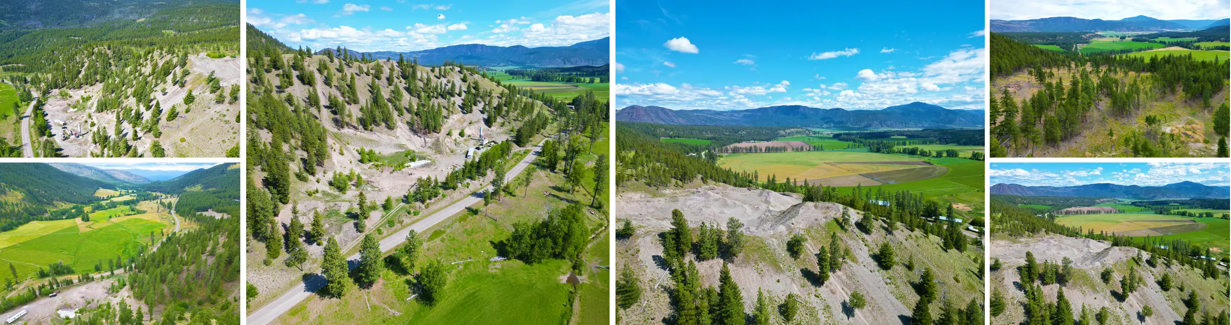 26CC auction feature