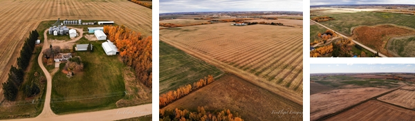 Unreserved Timed Real Estate Auction for the Estate of Albert & Florence Miller & Milwest Farms