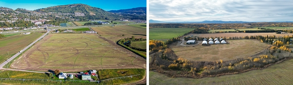 Real Estate Auction - Multiple Consignors