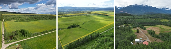 Real Estate Auction - Multiple Consignors