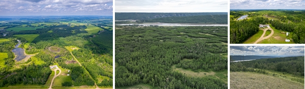 Real Estate Auction - Multiple Consignors Across Alberta