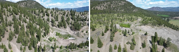 **NEW DATE** Reserved Real Estate Auction 78± Combined Acres - 2 Parcels Selling Separate in Westwold, BC