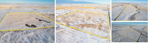 Real Estate Auction 4 Parcels 562± Acres of Cultivated Land