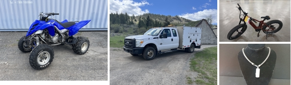Annual City of Kamloops Auction