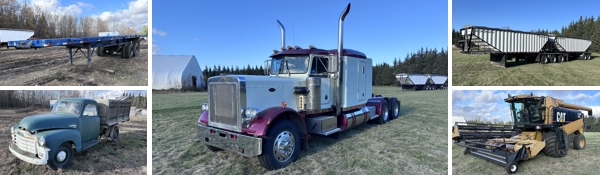 Auction for Roch Solid Solutions Inc